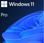 MS SB Windows 11 Pro 64bit [UK] DVD