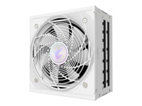 AORUS ELITE AE1000PM PG5 ICE 1000Watt 80 PLUS Platinum