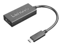 Lenovo Videoadapter 24cm Sort