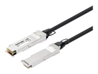 Intellinet Dobbelt-axial 2m 40GBase-kabel til direkte påsætning Sort