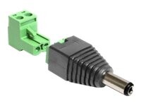 Delock Strømforsyningsadapter