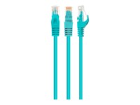 Cablexpert CAT 6 Ikke afskærmet parsnoet (UTP) 25cm Patchkabel Grøn