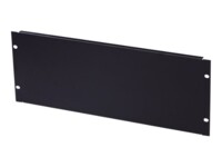 DIGITUS Professional DN-19 BPN-04-SW Tomt panel Sort