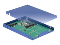 DeLOCK Lagringspakning USB 3.1 (Gen 2) M.2 Card / mSATA