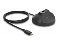 Delock USB 3.2 Gen 2 USB-holder Sort