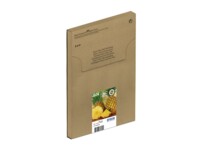 Epson 604 Multipack Mail Packaging Sort Gul Cyan Magenta