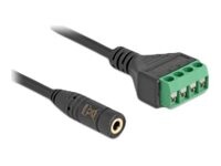 Delock Lyd adapter 20cm Sort Grøn