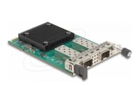 DeLock Netværksadapter 10 Gigabit Ethernet
