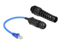 DeLOCK CAT 6a S/FTP 25cm Netværksadapter Blå