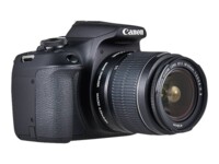 Canon EOS 2000D + EF-S 18-55mm f/3.5-5.6 IS II + EF 75-300mm f/4-5.6 III 24,7Megapixel Sort Digitalkamera