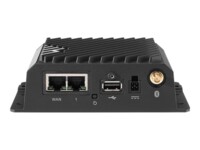 Cradlepoint R920