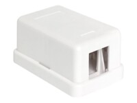 Delock Keystone Surface Mounted Box Hvid