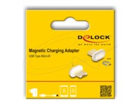 Delock Opladnings adapter Hvid