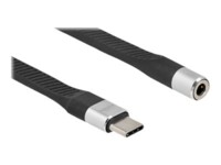 Delock Lyd adapter 10cm Sort