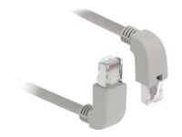 DeLOCK CAT 5e SF/UTP 50cm Patchkabel Grey