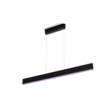 Philips Hue White & Color Ambiance Ensis schwarz inkl. Dimmschalter V2 & Bridge