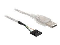 Delock USB Pinheader USB-kabel 70cm