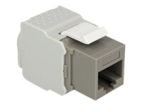 Delock Keystone module Grå