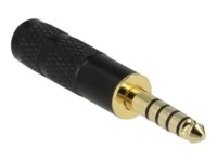 Delock Lyd adapter Sort