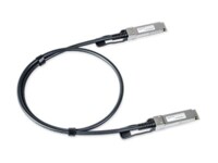 LANCOM 1m 40GBase-kabel til direkte påsætning