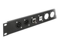 Delock D-Type Module USB 2.0 Type-A female to terminal block Sort