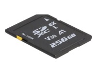 DeLOCK SD 256GB 858MB/s