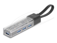 Delock Sort Transparent