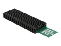 DeLOCK Ekstern Lagringspakning USB 3.2 (Gen 2) M.2 NVMe Card / SATA 6Gb/s