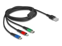 DeLOCK USB 2.0 Strømkabel 2m Sort Blå Grøn Rød