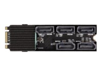 DeLOCK Interfaceadapter