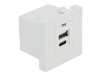 Delock Easy 45 USB Charging Port Module 1 x Type-A + 1 x USB Type-Câ„¢
