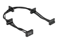 Delock Strømforsyningsadapter 40cm Sort