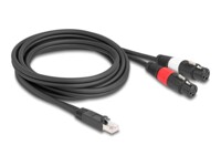 Delock DMX-kabel 2m Sort