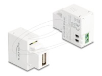 Delock Adapter 5Watt