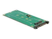 DeLOCK Converter U.2 SFF-8639 NVMe > 1 x M.2 Key M Interfaceadapter