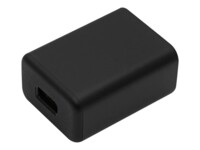 RealWear Adapter