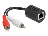 Delock Lyd adapter Sort