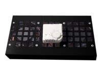 DIGITUS Professional Line DN-19 FAN-2-WM-T-SW Bakke til blæser i rack 1-pack Sort