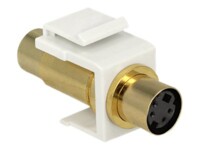 Delock Keystone module