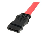 StarTech.com Seriel ATA-kabel Rød 50.8cm
