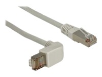 DeLOCK CAT 5e Kabel med afskærmning med folie og kobberfletning (SFTP 1m Patchkabel Grey