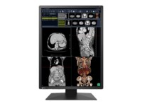 EIZO RadiForce RX270 21.3' IPS 1200 x 1600 DVI DisplayPort