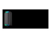 Sony SRS-XV800 Festhøjttaler Sort