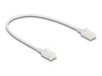 DeLOCK CAT 6a U/UTP, Unshielded 30cm Patchkabel Hvid