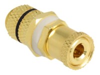 Delock Lyd adapter Guld