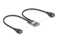 DeLock USB-adapter PCI Express Mini Card 480Mbps