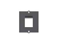 Bachmann Faceplate