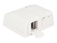Delock Keystone Surface Mounted Box Hvid