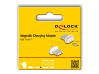 Delock Opladnings adapter Hvid