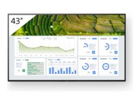 Sony Bravia Professional Displays BZ30L Series FW-43BZ30L 43' 4K UHD (2160p)